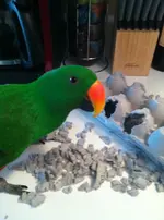 2012-11-12 08.26.30.webp