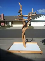 parrot stand CL purchase 121412.webp