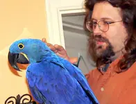hand reared.webp