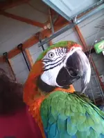 973936_10200497344690858_246085266_n.webp 973936_10200497344690858_246085266_n.webp