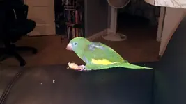 2012-04-21_00-23-39_598.webp 2012-04-21_00-23-39_598.webp