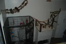 fargos room..webp fargos room..webp