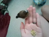 2012-08-28 13.54.05 (1).webp