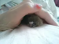 2012-08-28 15.21.45.webp