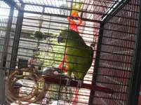 SDC10702.webp