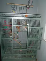 100_2135.webp 100_2135.webp