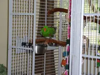 013.webp