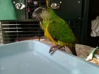 2013-07-13 10.37.19.webp