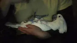 PART_1314393668287.webp
