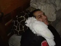PART_1314393916502.webp