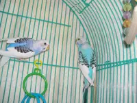 my pics various 305.webp