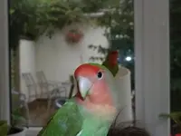 2012-08-29 16.22.00_640x480.webp