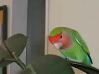 2012-08-15 10.29.10_640x480.webp