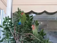 2012-08-29 16.37.18_640x480.webp