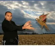 ImageUploadedByTapatalk1346889791.140737.webp
