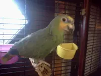 0905111757.webp 0905111757.webp