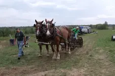 DSCF1056.webp