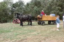 DSCF1057.webp