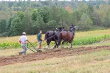 DSCF1063.webp