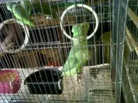 Screen_20130727_19218.webp