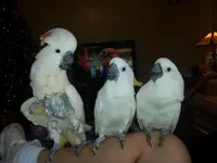 2012-12-25 14.45.09.webp