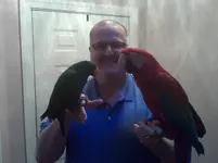 Joe, guapo, neleno.webp