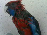 20120816181.webp