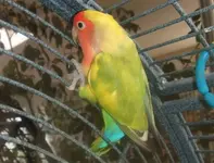 DSCF4621.webp