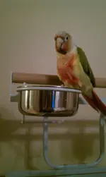 IMAG0387.webp