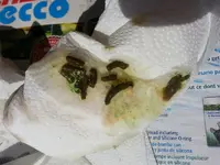 20130801_102653.webp