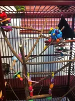 photo (3).webp