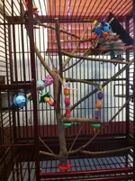 photo (4).webp