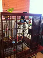 photo (5).webp
