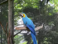 IMG_1475.webp