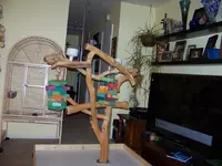 006.webp