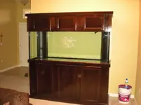 DSCN2124.webp
