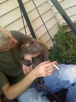 180685_202150373135778_4370336_n.webp