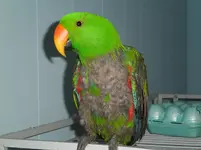 001.webp