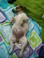 Sleepy Happy.webp