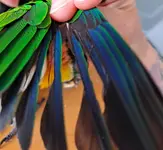 20220608_150833.webp