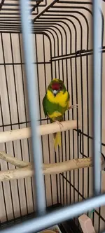 20220529_175913.webp