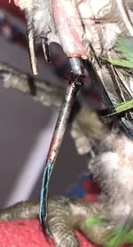 tempImage3oweWf.webp