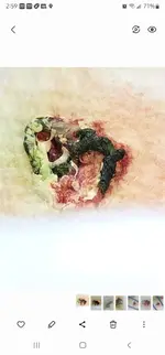 Screenshot_20220717-145942_Gallery.webp