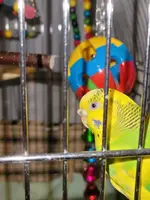 IMG-20220715-WA0005.webp