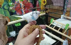 20220316_105529.webp