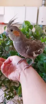 WhatsApp Image 2022-07-30 at 9.23.45 AM.webp