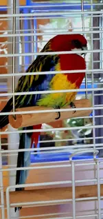 viber_image_2022-07-09_17-19-48-207.webp