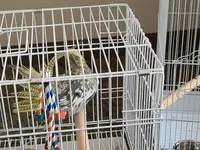 20220802_131024.webp
