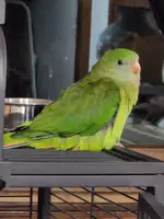 20220820_203924.webp