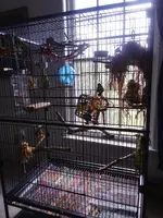 20220828_150902_HDR.webp